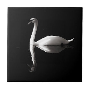 https://rlv.zcache.com/elegant_white_swan_reflection_on_black_lake_ceramic_tile-rd362f7e17ab745558b488184ad778235_agtk1_8byvr_307.jpg