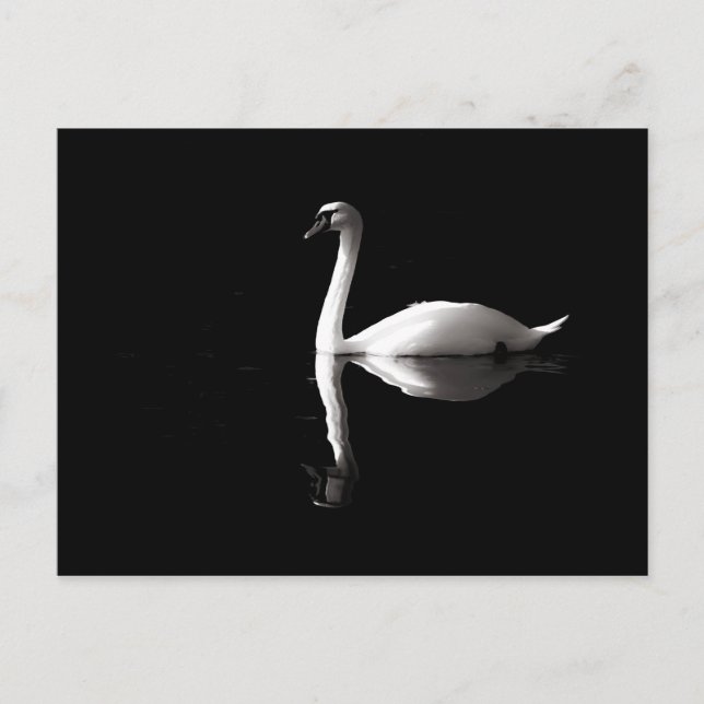 Elegant White Swan Reflection On Black Lake Postcard (Front)