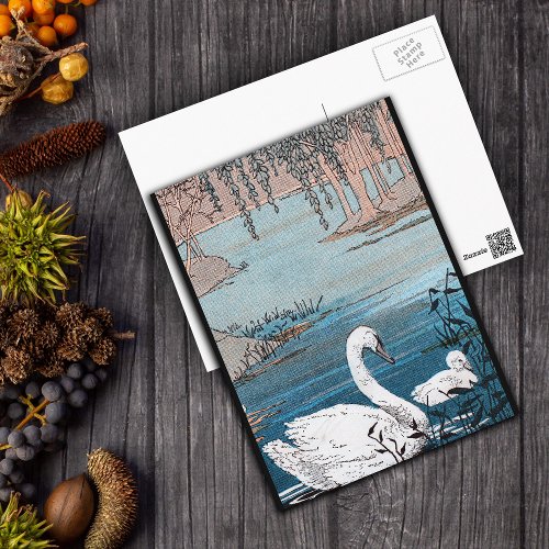 Elegant White Swan With Baby Postcard