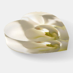 Elegant White & Yellow Orchid - Timeless Luxury Paperweight
