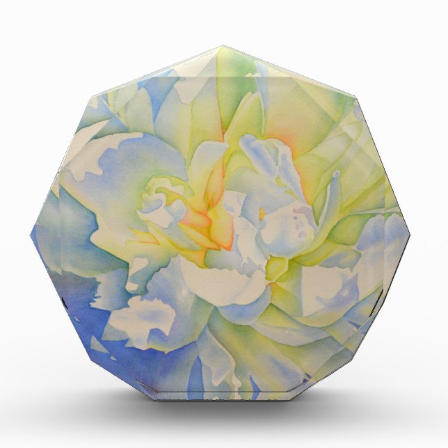 Elegant white yellow peony floral watercolor  award (Front)
