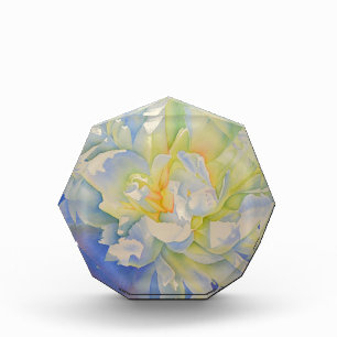 Elegant white yellow peony floral watercolor  award