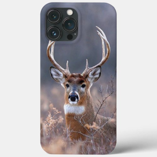 Elegant Whitetail Deer Winter Season Photograph iPhone 13 Pro Max Case