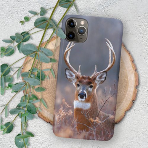 Elegant Whitetail Deer Winter Season Photograph iPhone 11 Pro Max Case