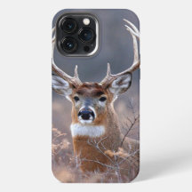 Elegant Whitetail Deer Winter Season Photograph