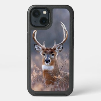 Elegant Whitetail Deer Winter Season Photograph Iphone 13 Case by CaseConceptCreations at Zazzle