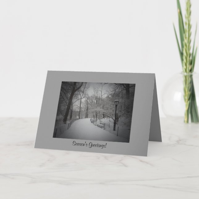 Elegant Winter Season's Greetings - Central Park Holiday Card (Front)