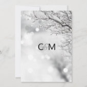 Elegant Winter Wonderland Snow Snowflakes WEDDING Invitation (Back)