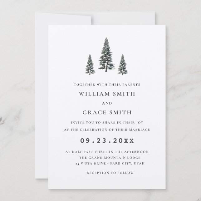 Elegant Winter Wonderland  Snowflakes wedding Invitation (Front)