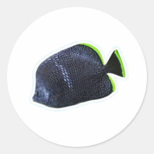 Elegant Wrought Iron Butterflyfish Marine Art Stic Classic Round Sticker