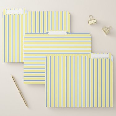 Elegant Yellow and Blue Striped File Folder