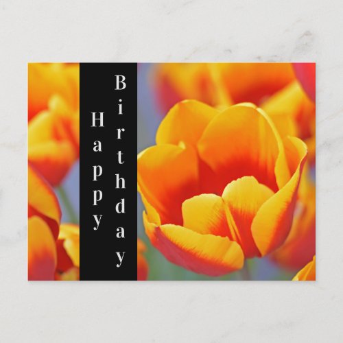 Elegant Yellow and Red Tulip Happy Birthday Postcard