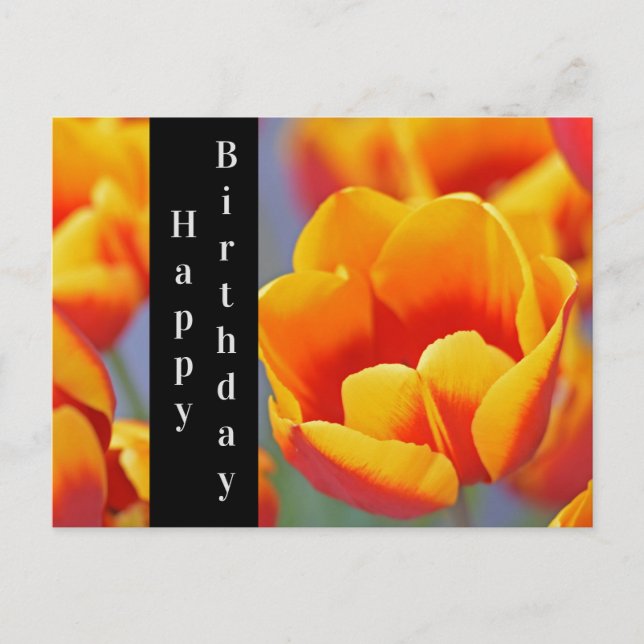 Elegant Yellow and Red Tulip Happy Birthday Postcard (Front)