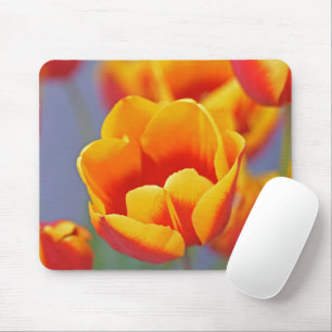 Elegant Yellow and Red Tulip Mouse Pad