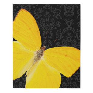 Elegant Yellow Butterfly Black Damask Faux Canvas Print