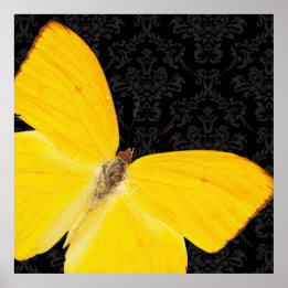 Elegant Yellow Butterfly Black Damask Poster