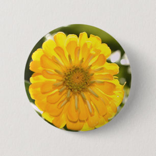 Elegant yellow floral flower daisy button