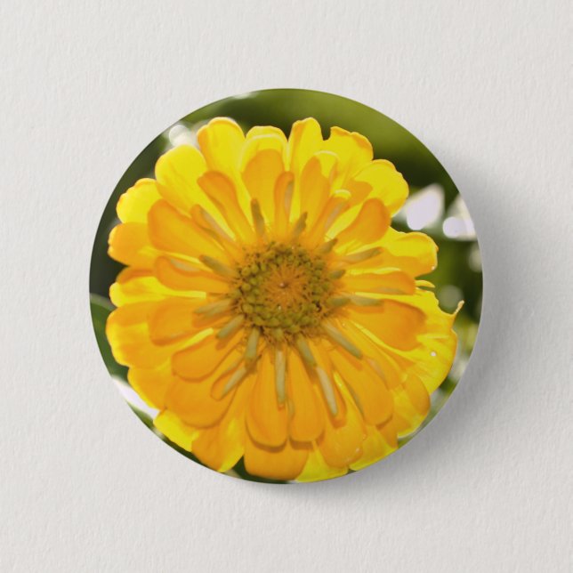Elegant yellow floral flower daisy button (Front)