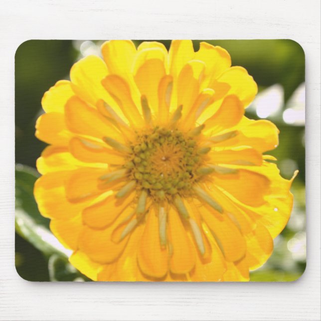 Elegant yellow floral flower daisy mouse pad (Front)