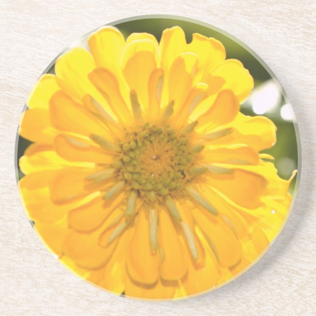 Elegant yellow floral flower daisy sandstone coaster (Front)