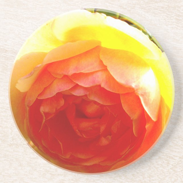 Elegant yellow peach red apricot floral rose drink coaster (Front)