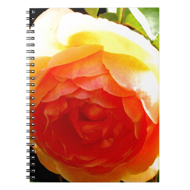 Elegant yellow peach red apricot floral rose notebook (Front)