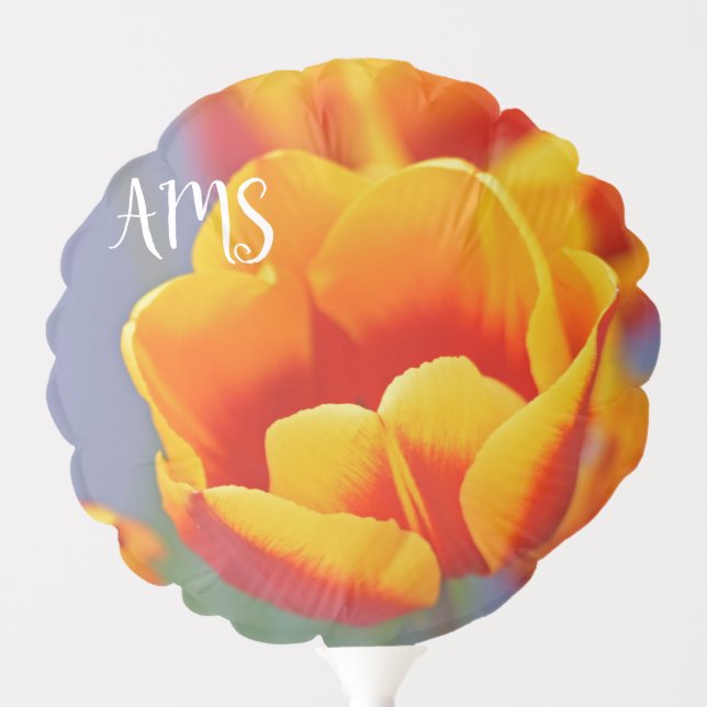 Elegant Yellow Red Tulip Initials Quote on Back Balloon (Front)