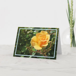 Elegant Yellow Rose Flower Photo Stylish Frame Card