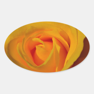 Elegant Yellow Rose photo Oval Sticker