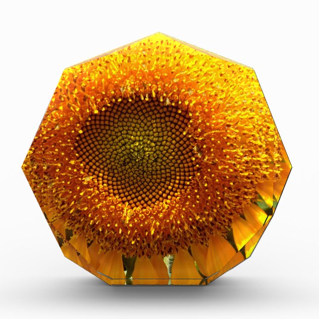 Elegant yellow sunflower   acrylic award (Front)