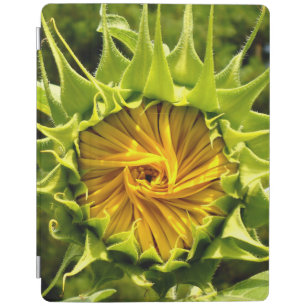Elegant yellow sunflower photo iPad smart cover