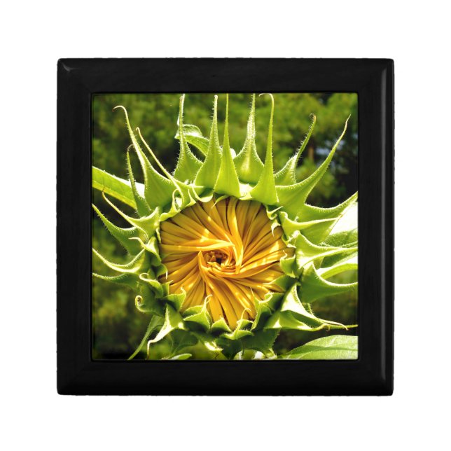 Elegant yellow sunflower photo jewelry box (Front)