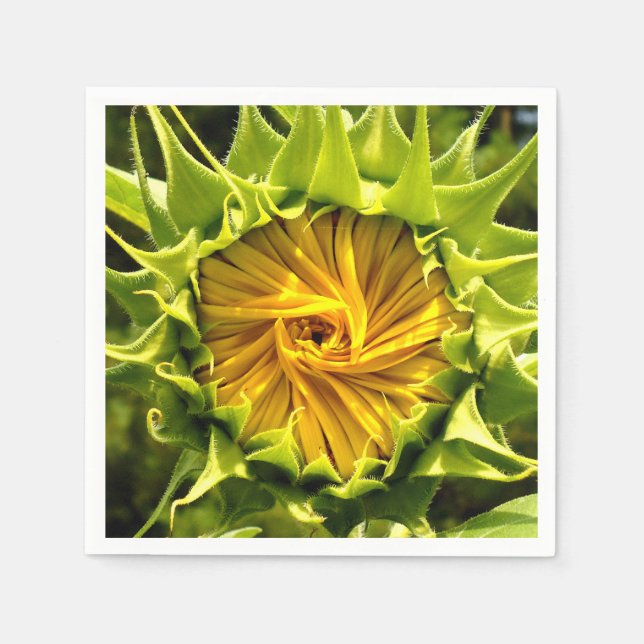 Elegant yellow sunflower photo napkins (Front)