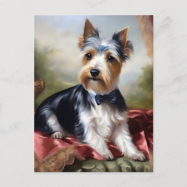 Elegant  Yorkshire Terrier Beauty Postcard (Front)