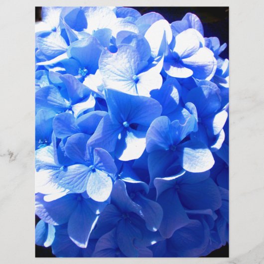 ElegantCobalt blue floral elegant hydrangeas (Front)