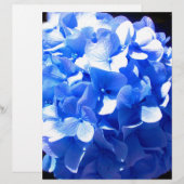 ElegantCobalt blue floral elegant hydrangeas (Front/Back)