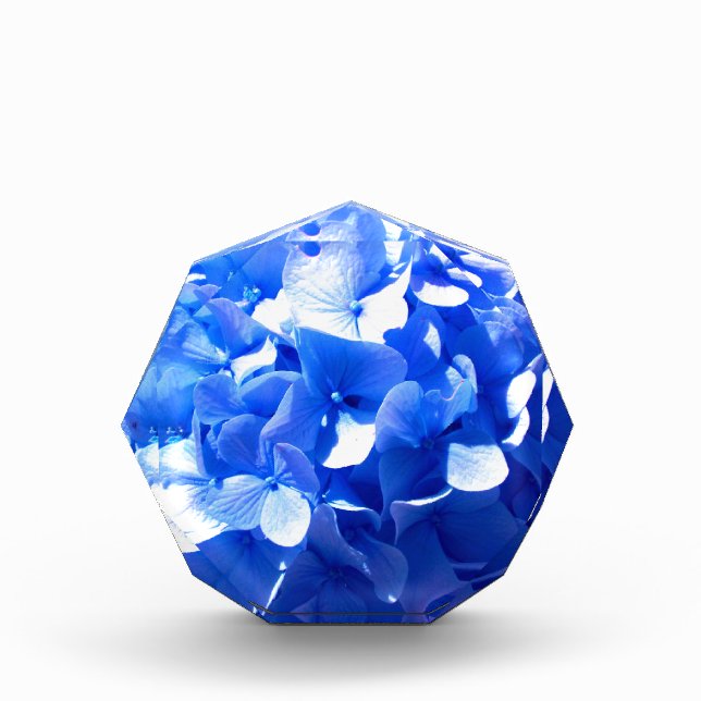 ElegantCobalt blue floral elegant hydrangeas  Award (Front)