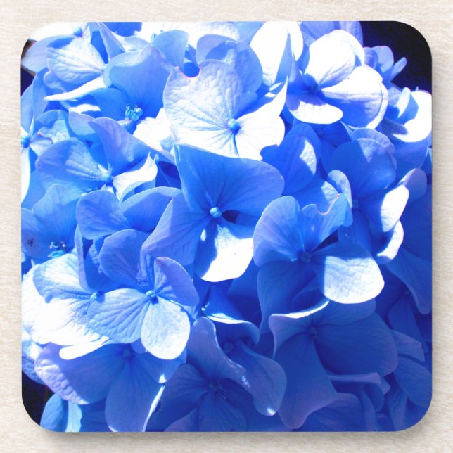 ElegantCobalt blue floral elegant hydrangeas  Beverage Coaster (Front)