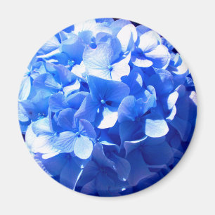ElegantCobalt blue floral elegant hydrangeas Magnet