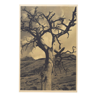 Elegy of Autumn Wood Wall Art