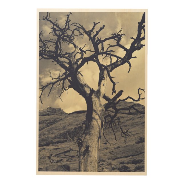 Elegy of Autumn Wood Wall Art (Front)