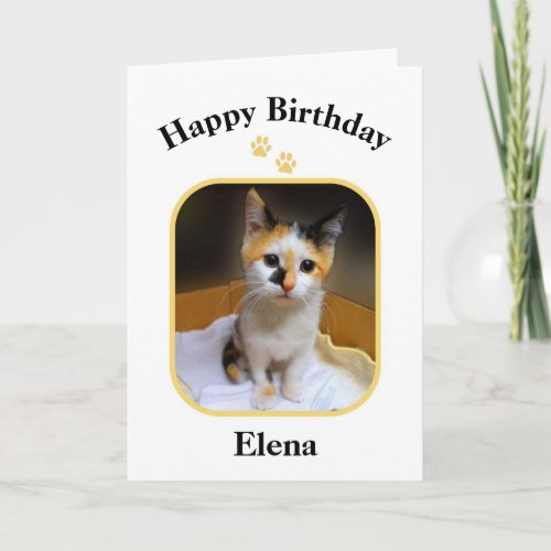 Elena Calico Kitten Happy Birthday Card