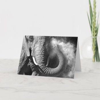 Elephant #1-greeting Card by rgkphoto at Zazzle