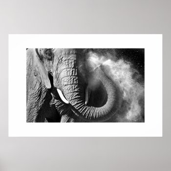 Elephant #1 Poster by rgkphoto at Zazzle