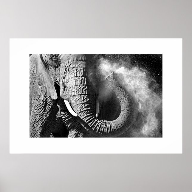Elephant #1 poster (Front)