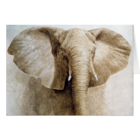 Elephant 2004 cards (Front Horizontal)