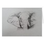 Elephant 2011 (Front Horizontal)