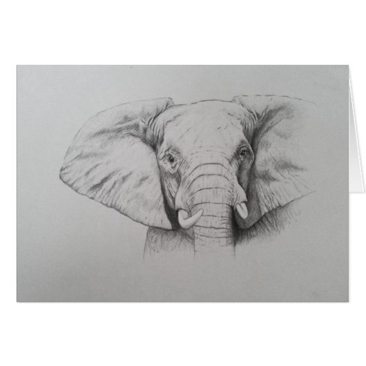 Elephant 2011 cards (Front Horizontal)