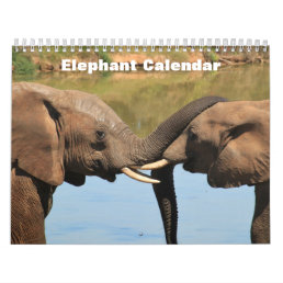 Elephant 2024  calendar