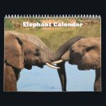 Elephant 2026  calendar<br><div class="desc">This 2026 wall calendar feature is Elephant animal photography. This 12 month calendar has fun and interesting facts about elephants. It Make's a wonderful gift for elephant lovers.</div>